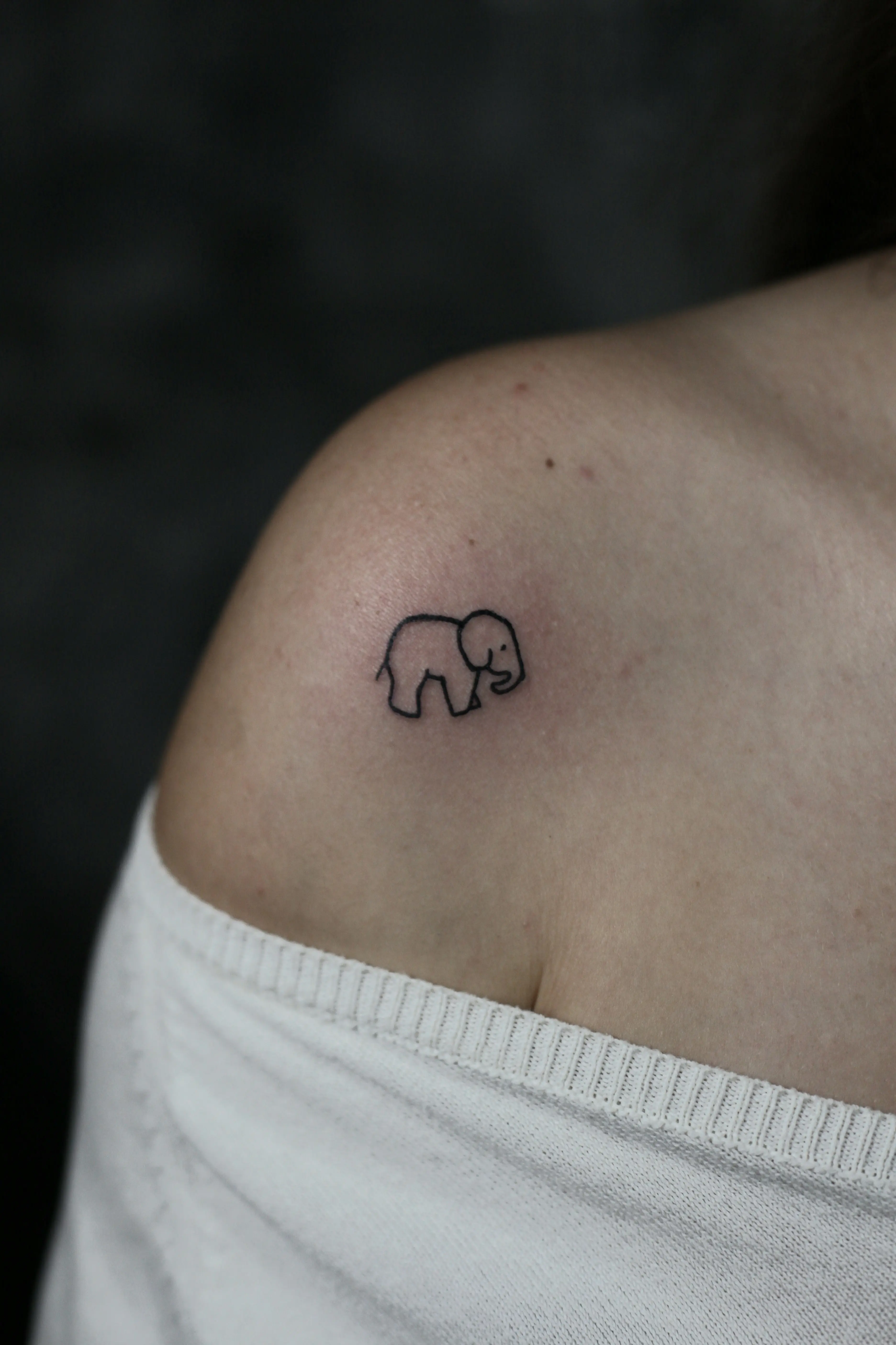 Tetovaža Slon - Fine Line & Minimal rad Eternal Art studio